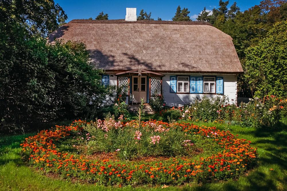 B&B Łady - Siedlisko olenderskie na Mazowszu - Bed and Breakfast Łady