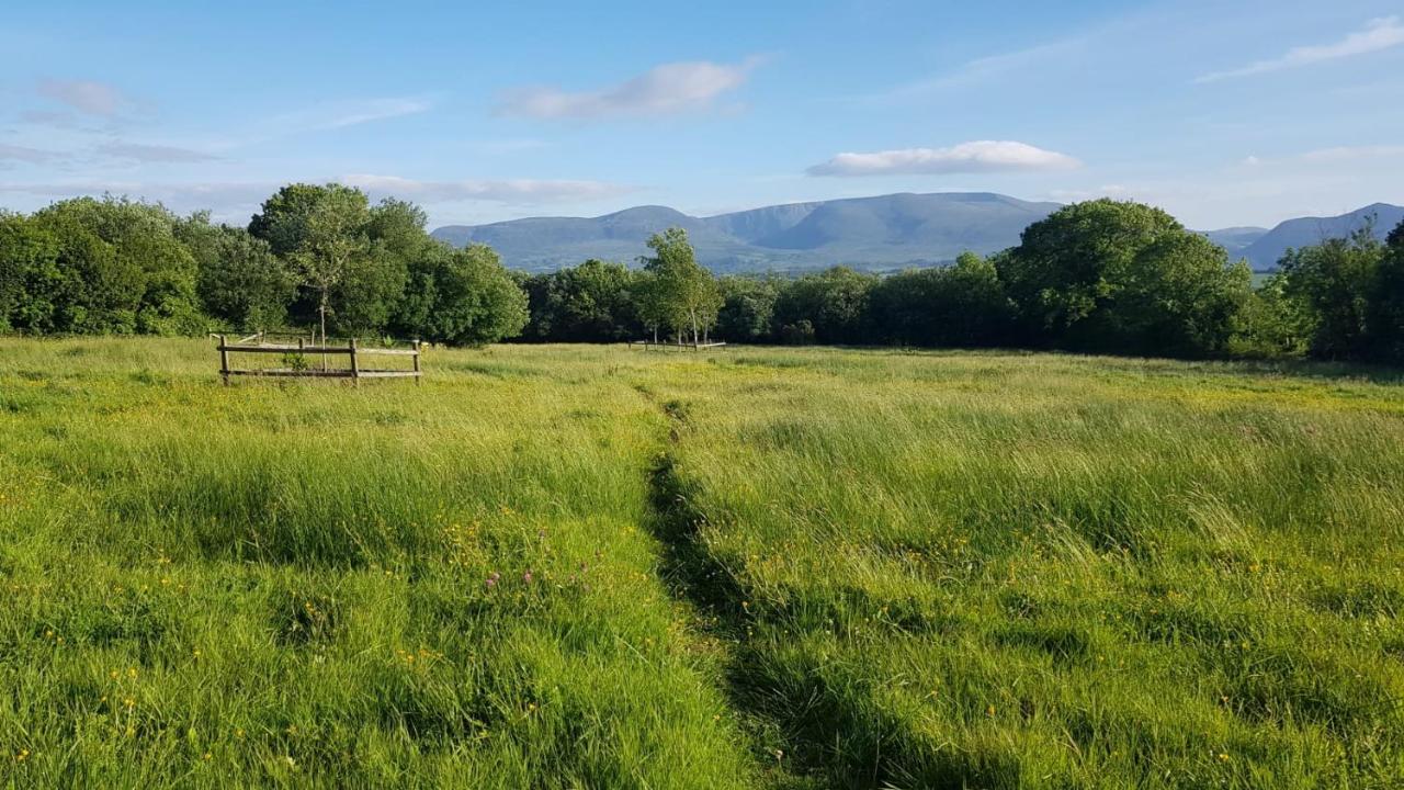 B&B Killarney - Woodford Guest House in old farm - Bed and Breakfast Killarney