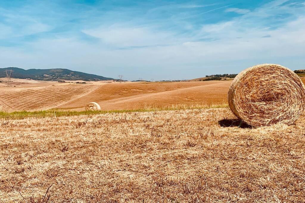 B&B Orciano Pisano - Vacanze sulle colline Toscane ad un passo dal mare - Bed and Breakfast Orciano Pisano