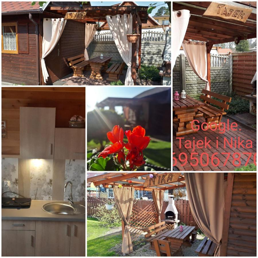 B&B Stegna - Tajek - Bed and Breakfast Stegna