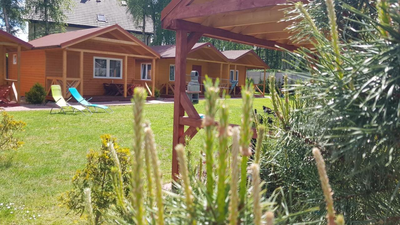 Domy "Pod Brzozami" - B&B