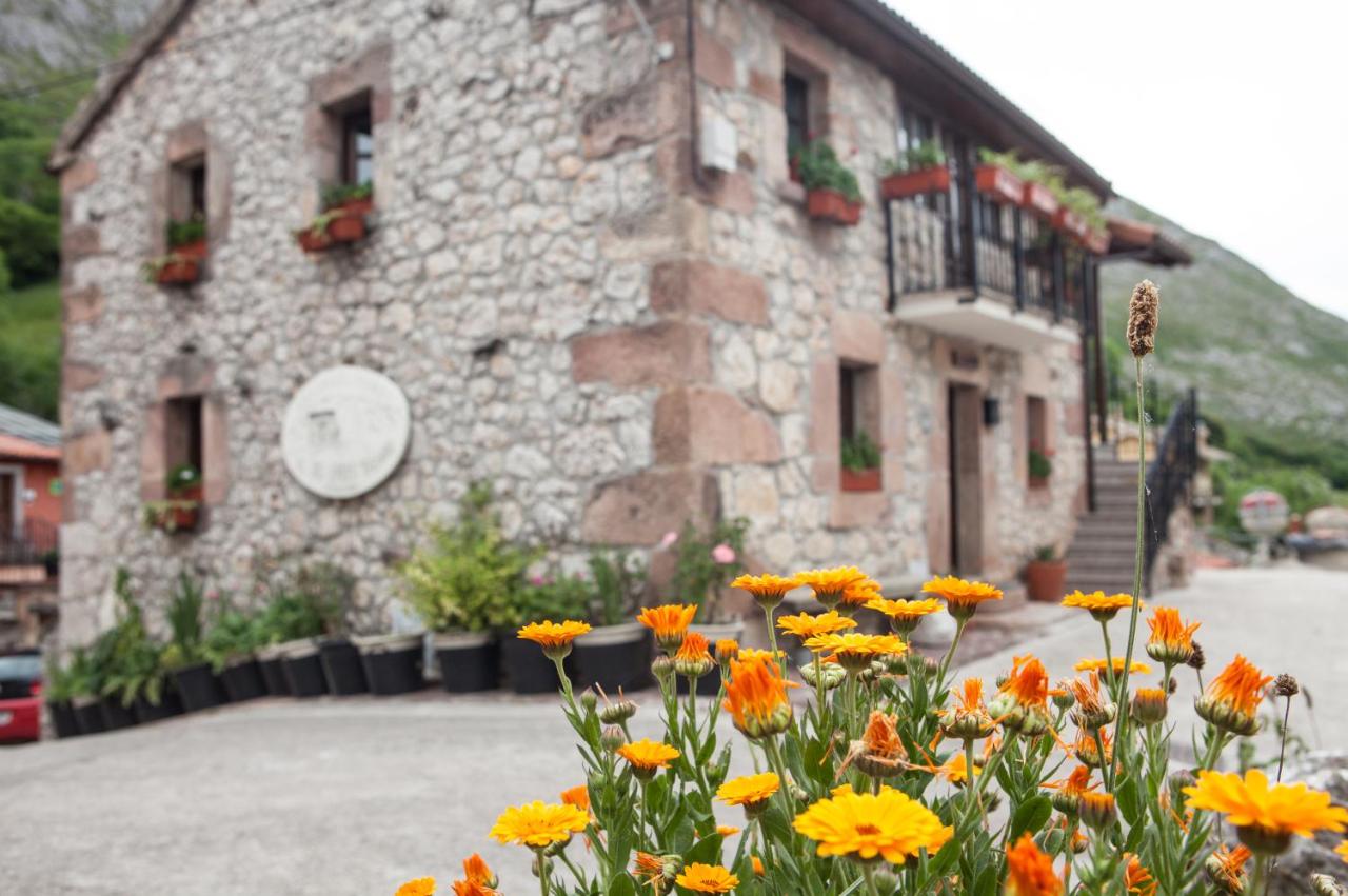 Apartamentos Rurales El Tio Pablo Picos de Europa Tresviso - Chambres d'hôtes Tresviso