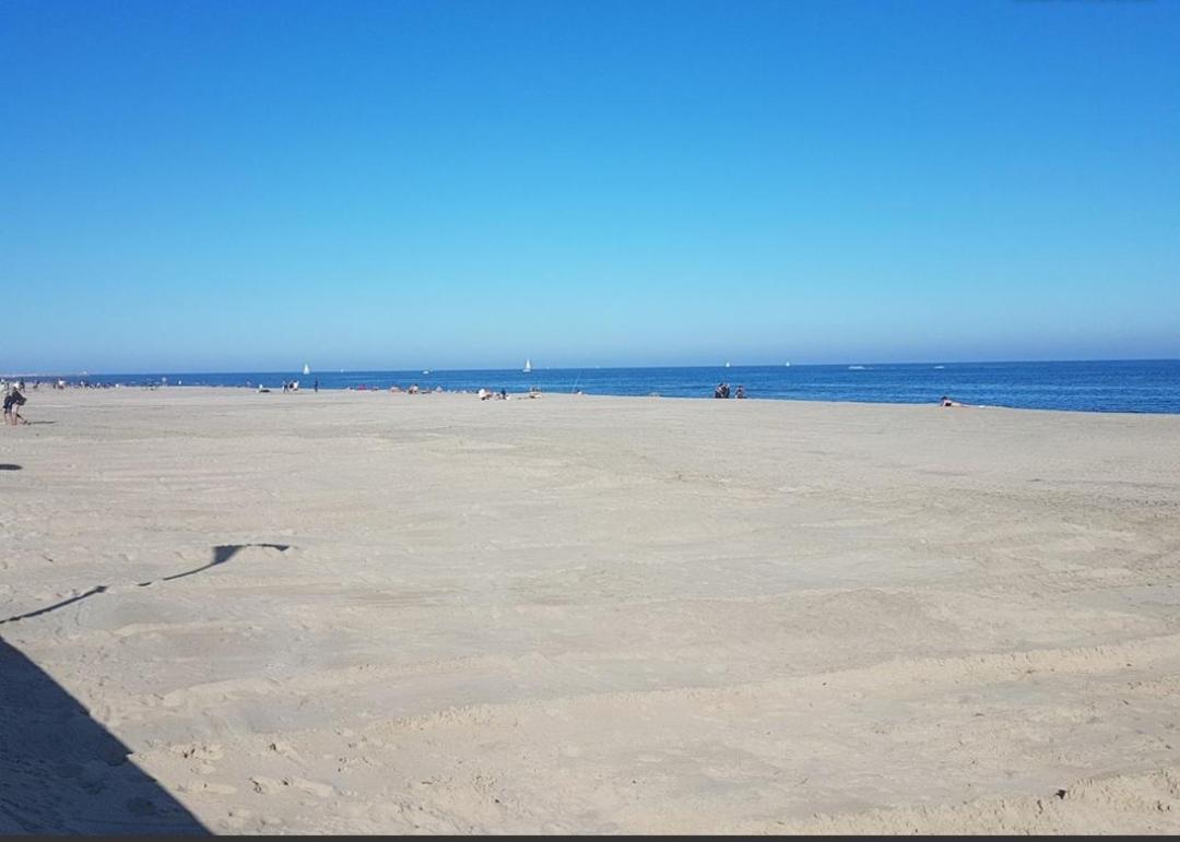 Appart face à la mer les pieds dans l'eau - B&B