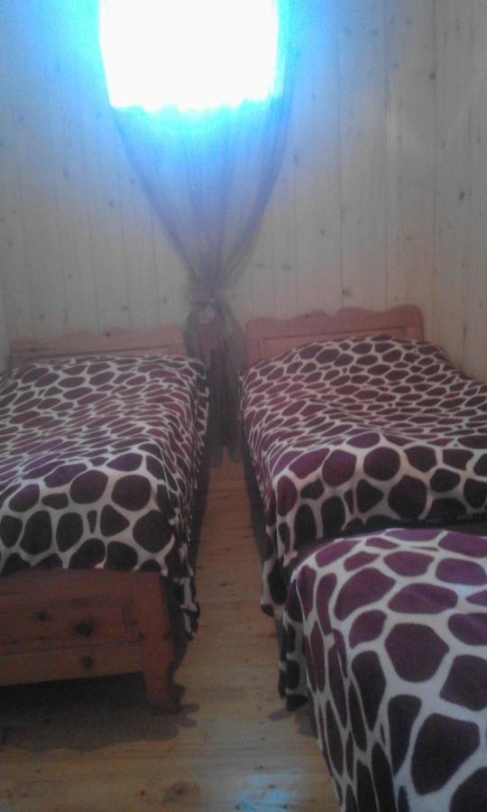 Dreibettzimmer mit Aussicht