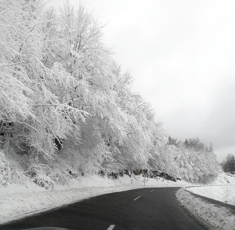 Appartamento con Terrazza