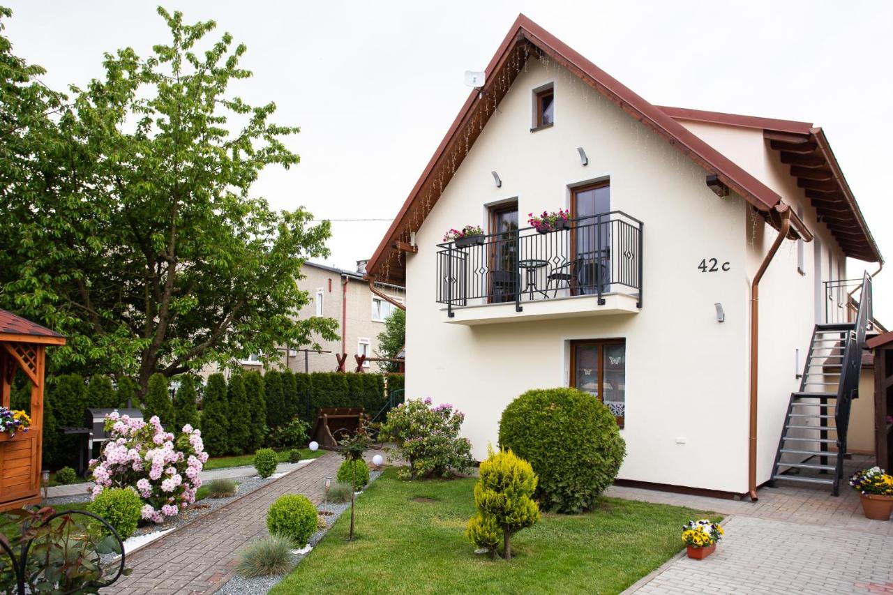 Apartamenty Pod Cisem - B&B