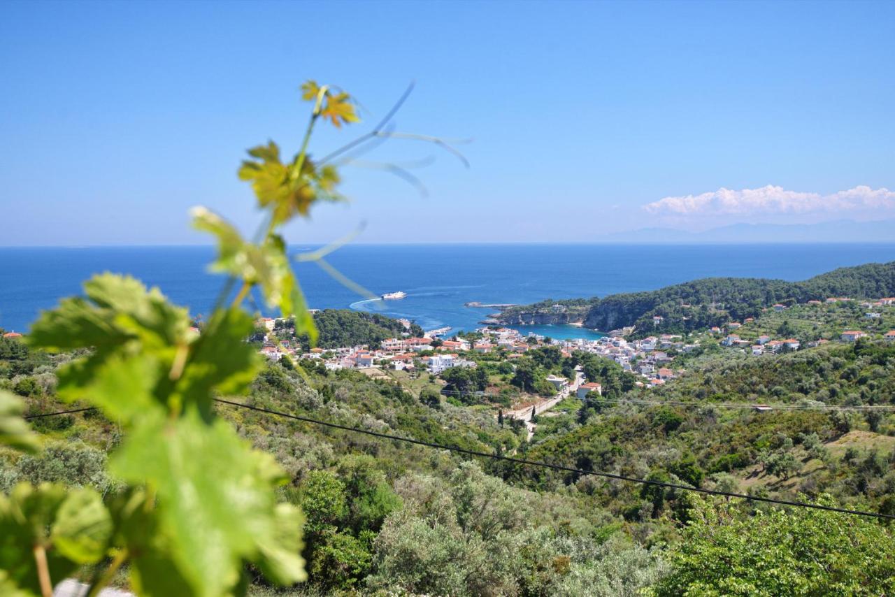 Angel Sunset suite - Chambres d’hôtes Patitíri