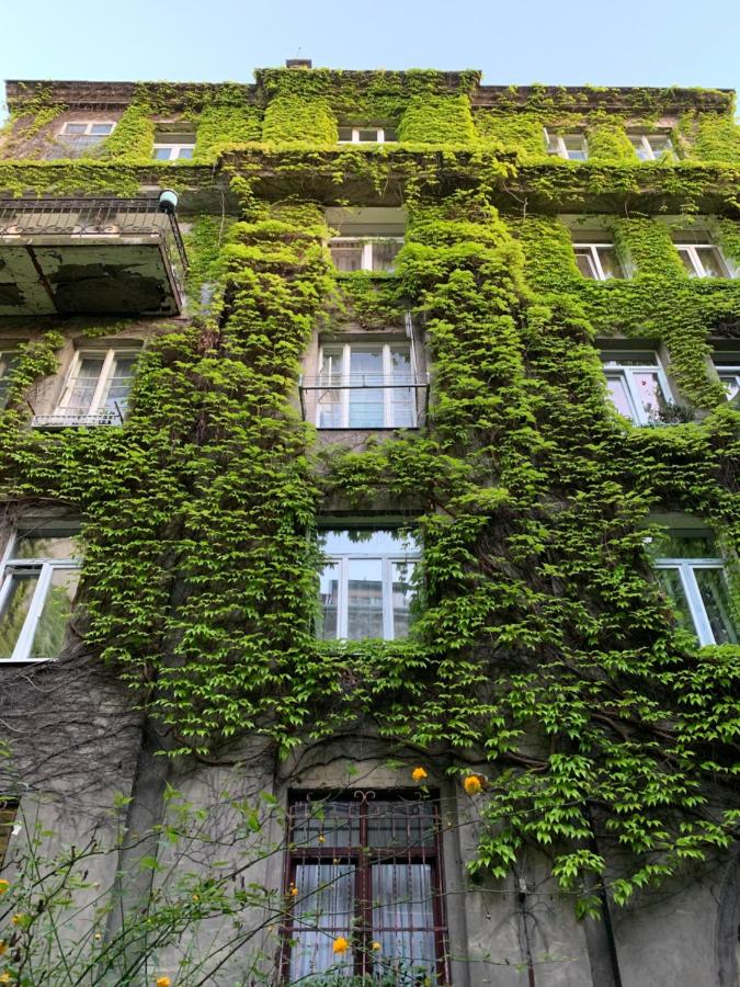 Apartments Lux in city center Lviv - B&B