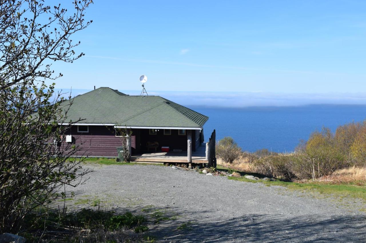Raven Guesthouse - B&B