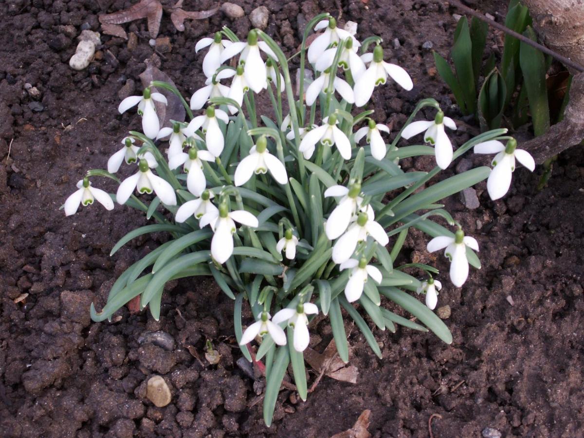 Haus am Fürstenweg - B&B Neustadt an der Weinstraße