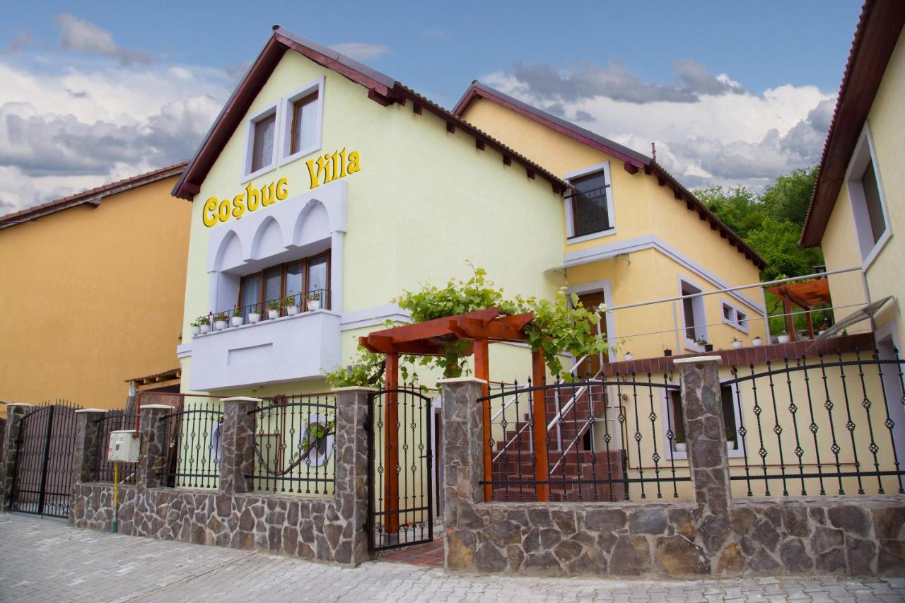 B&B Sighișoara - Cosbuc Residence & Villa - Bed and Breakfast Sighișoara