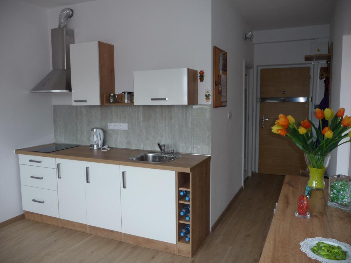 B&B Sokolov - Apartman Q11 - Bed and Breakfast Sokolov