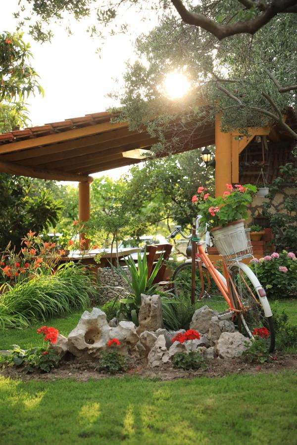 APARTMANI SARLIJA - B&B Pakoštane