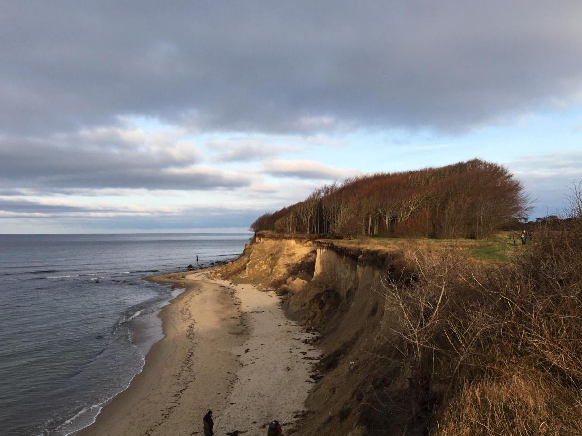 Ferienwohnung Wieker Bodden - Chambres d’hôtes Dranske