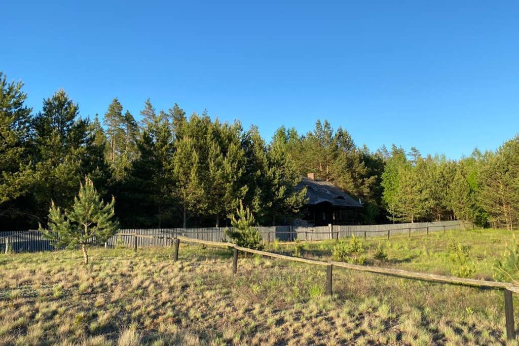 Piękny Dom nad Czarną Hańczą Paradise Dworczysko - Chambres d’hôtes Dworczysko