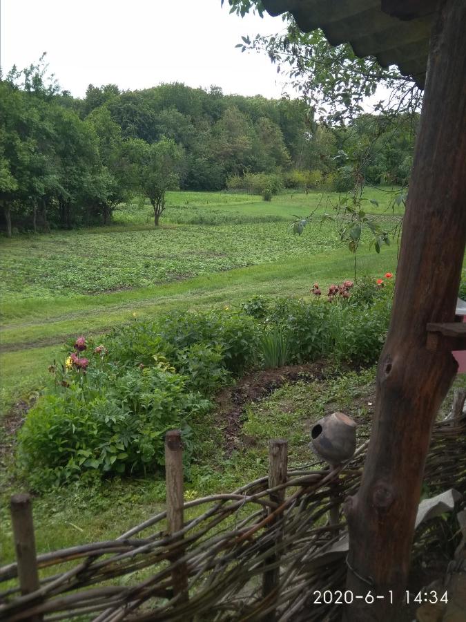 Maliovnytsya - Bed and Breakfast Dybyntsi