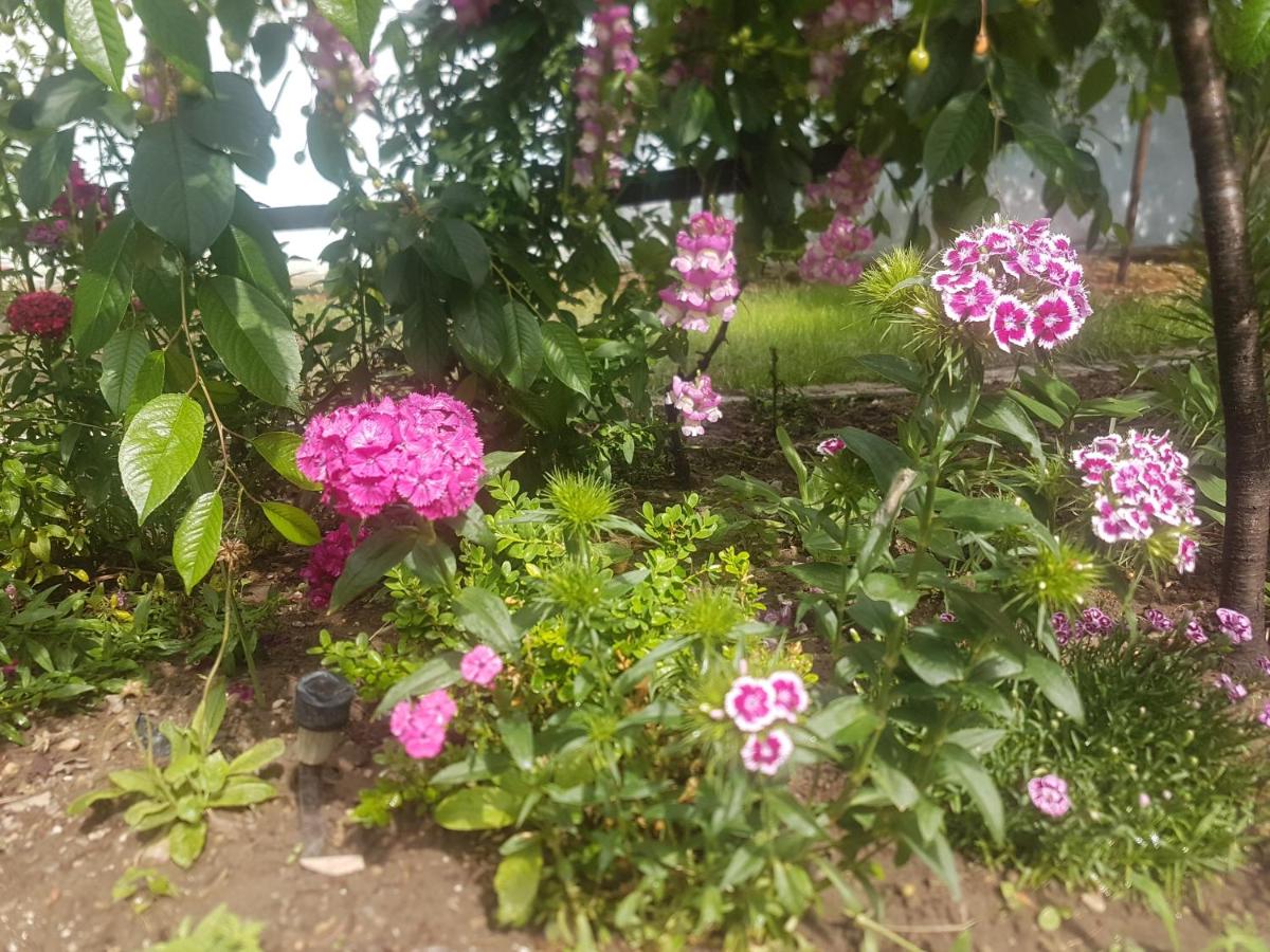 Casa Maria - B&B