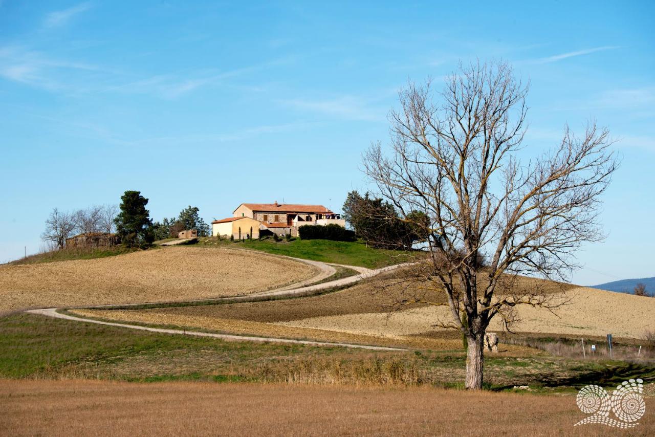 Poggio alla Pietra 26 - Ferienwohnung
