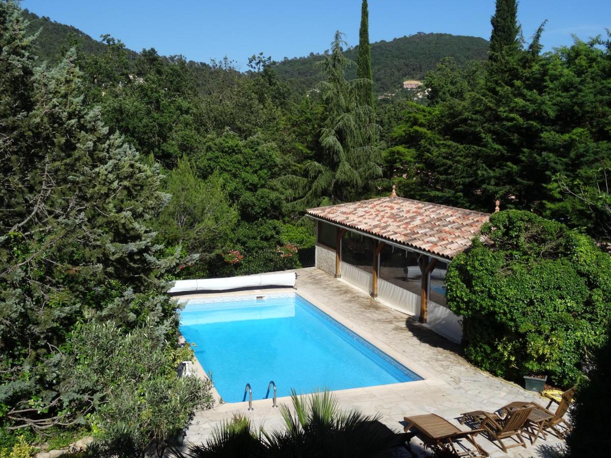 Triple Room with Pool View