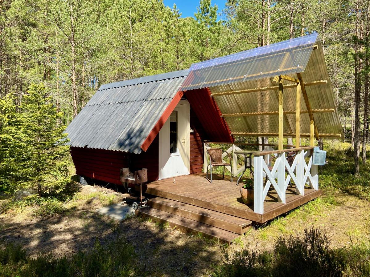 Twin Room with Terrace