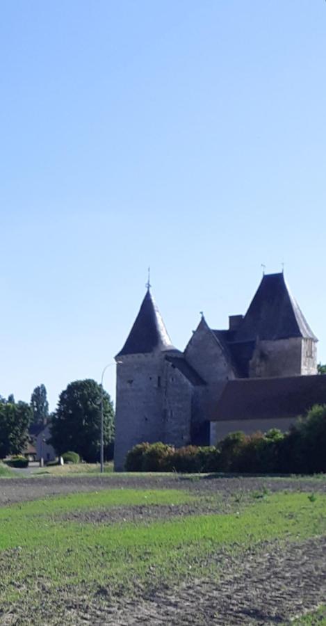 B&B Chémery - Chateau de Chémery - Bed and Breakfast Chémery