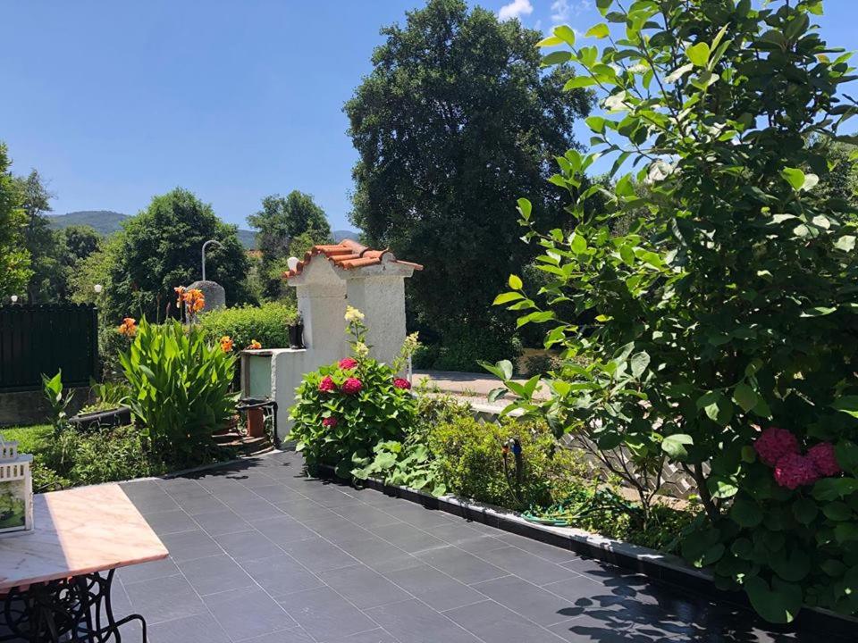 Huis met 1 Slaapkamer