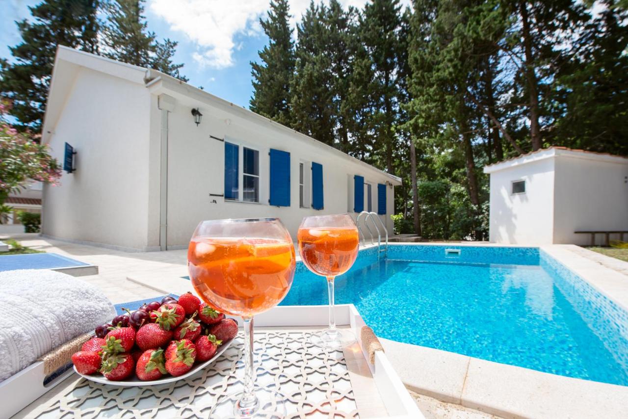 Mediterranean vacation home with pool Petrovac - B&B