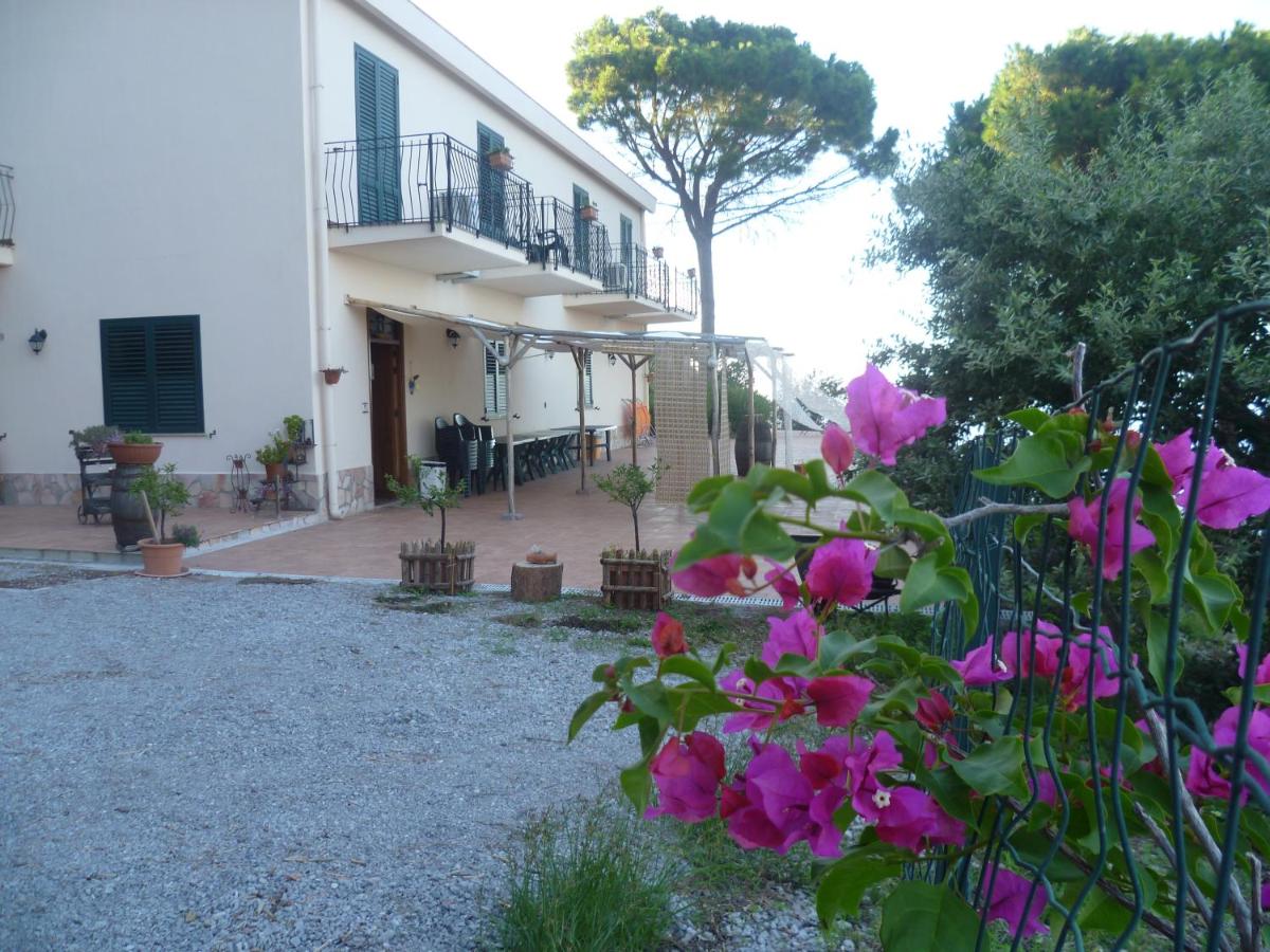 Alba Tra I Pini B&B - B&B