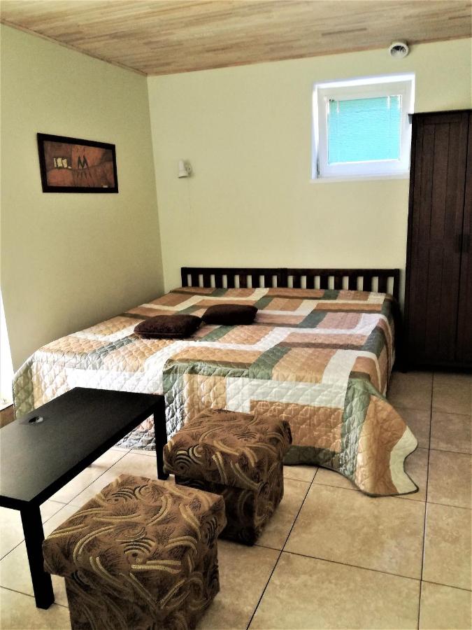 Estudio con terraza