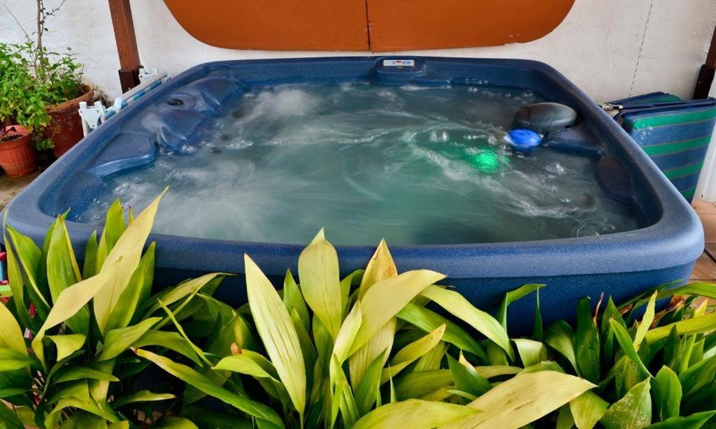 Casaspa7 - Ferienwohnung Cortes de la Frontera