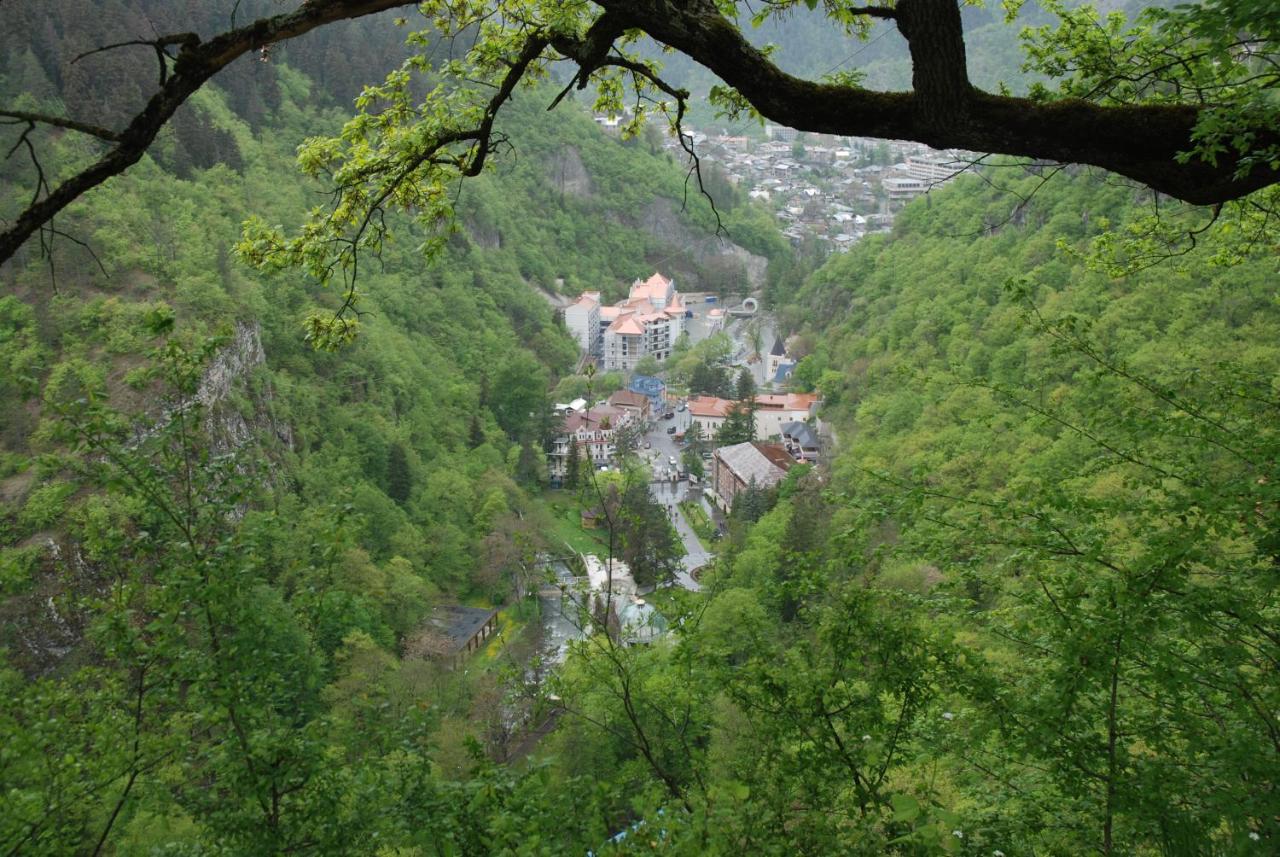 B&B Bordzjomi - Borjomi Central Park Apartment - Bed and Breakfast Bordzjomi