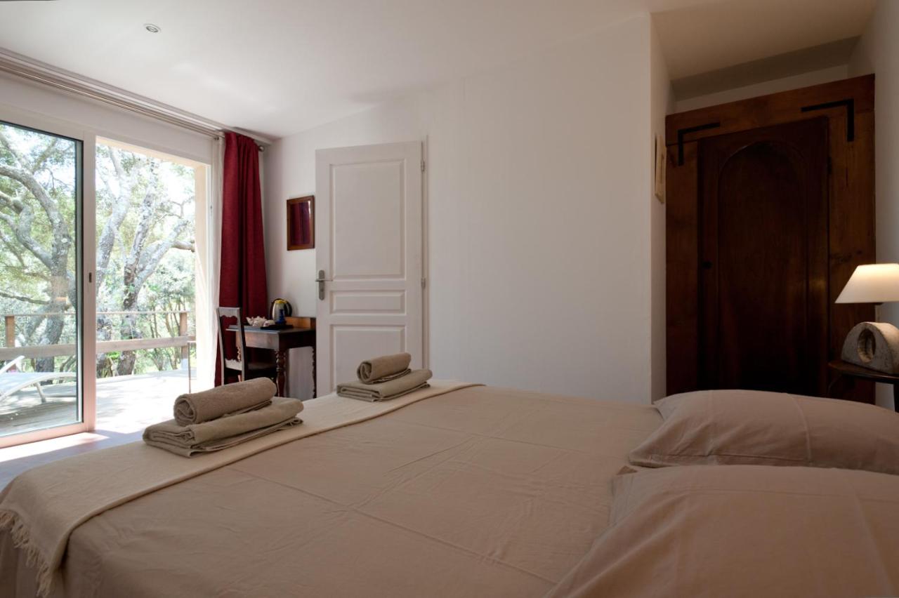 Double Room with Terrace