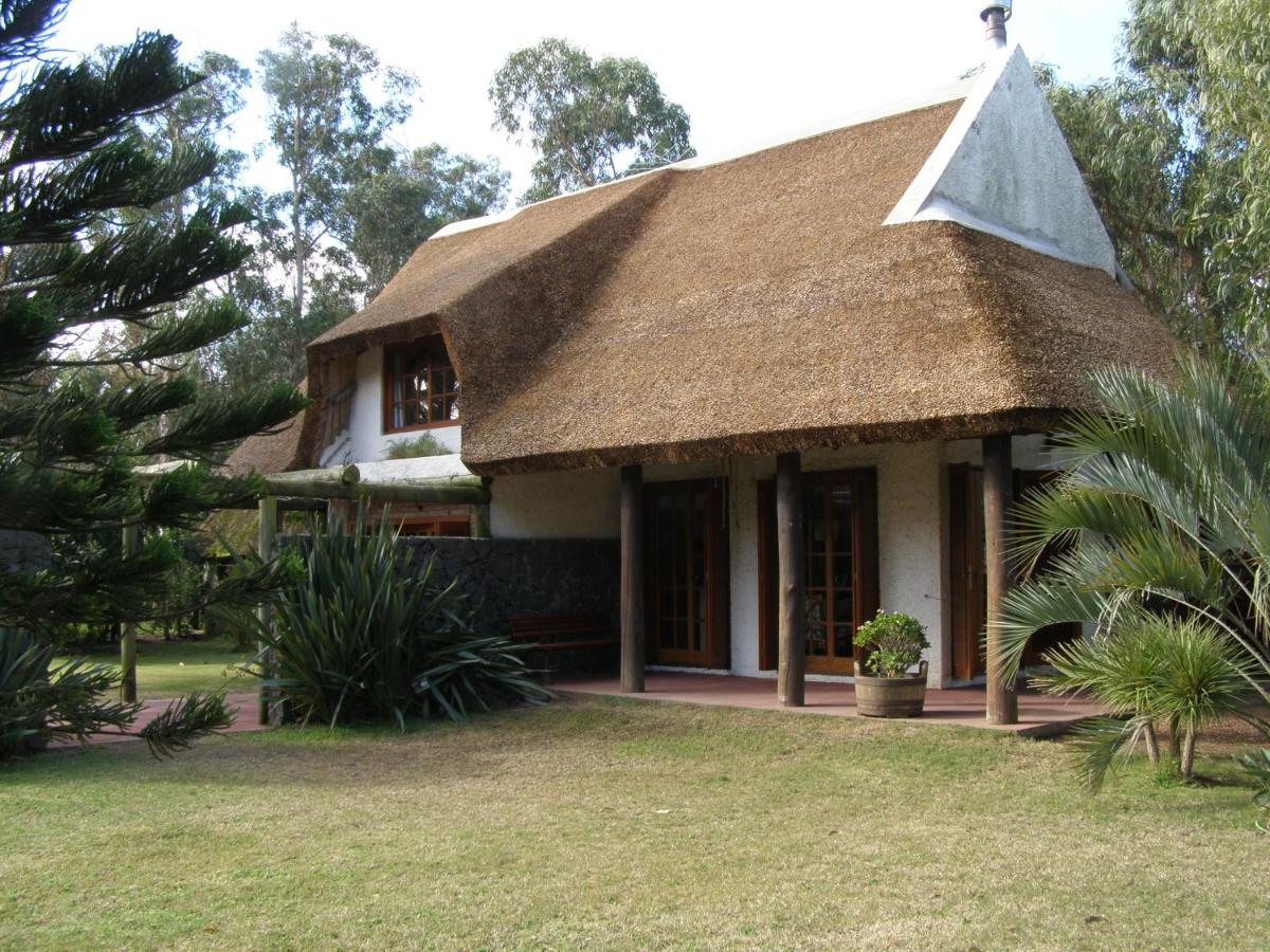 Calandria - B&B