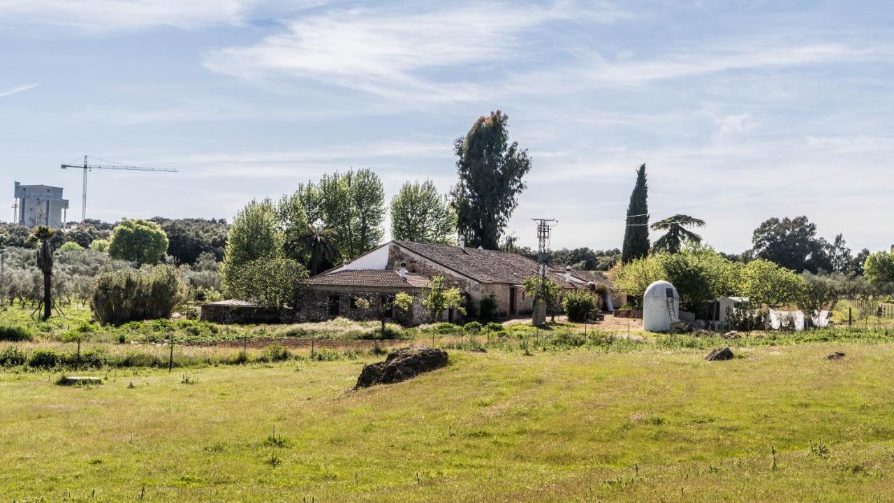 Lagar de Viña Vieja - B&B