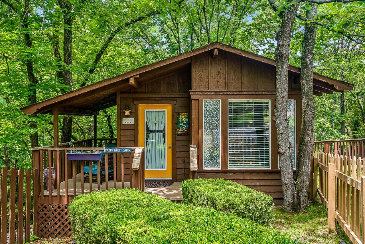 Aspen Cabin