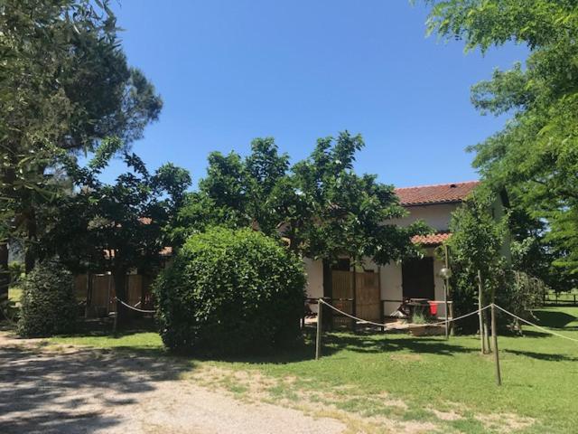 Fattoria il Duchesco - Chambres d’hôtes