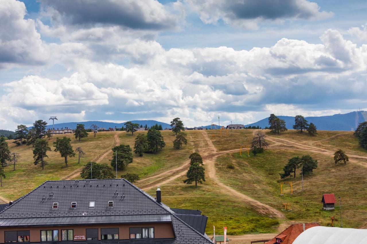 Top Rest - Vila Borova - B&B Zlatibor