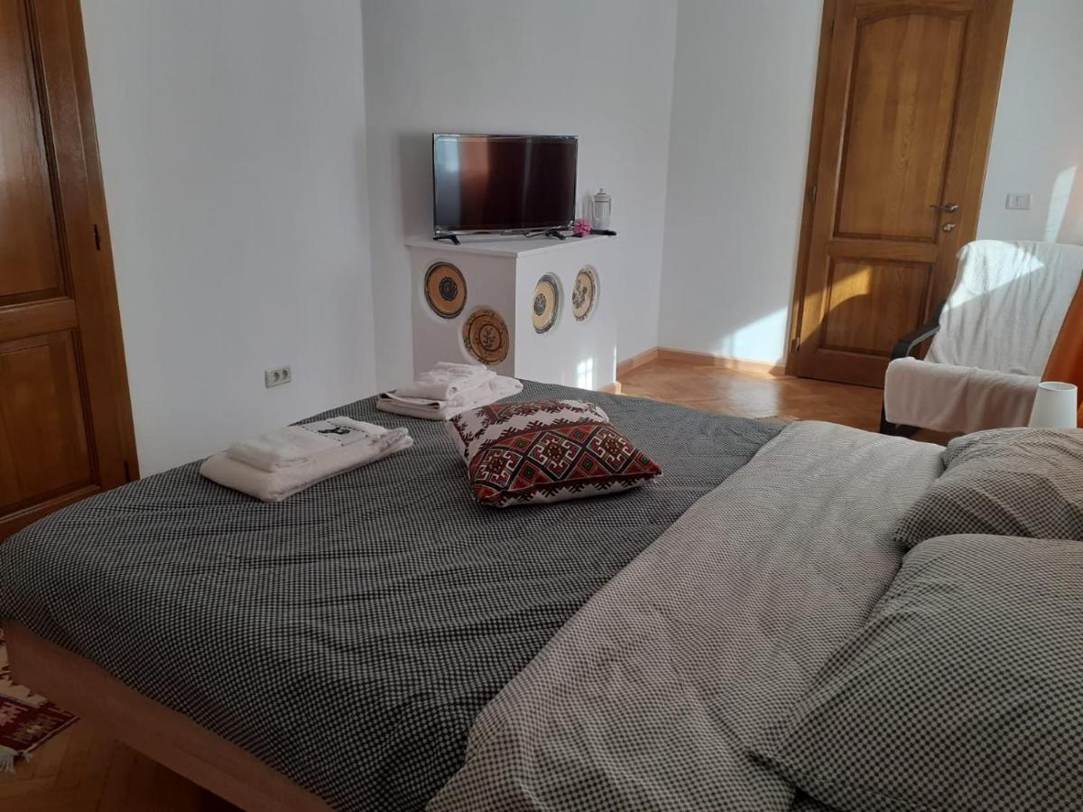 Pensiunea Costesti - Ferienwohnung Costești