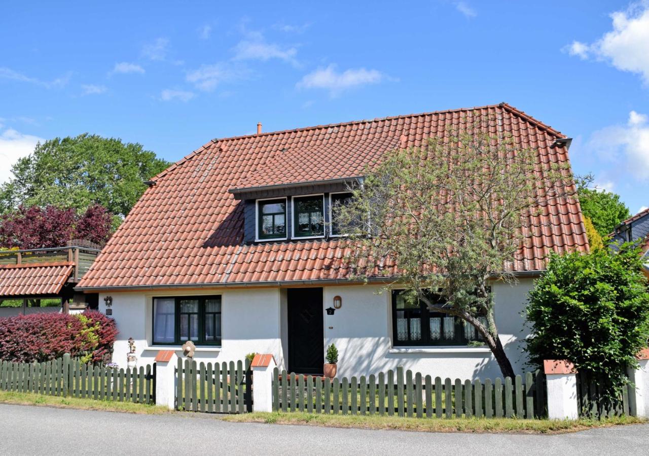 B&B Beuchow - Fewos Beuchow - nur Urlaubsdomizil - keine Monteursunterkunft - Bed and Breakfast Beuchow