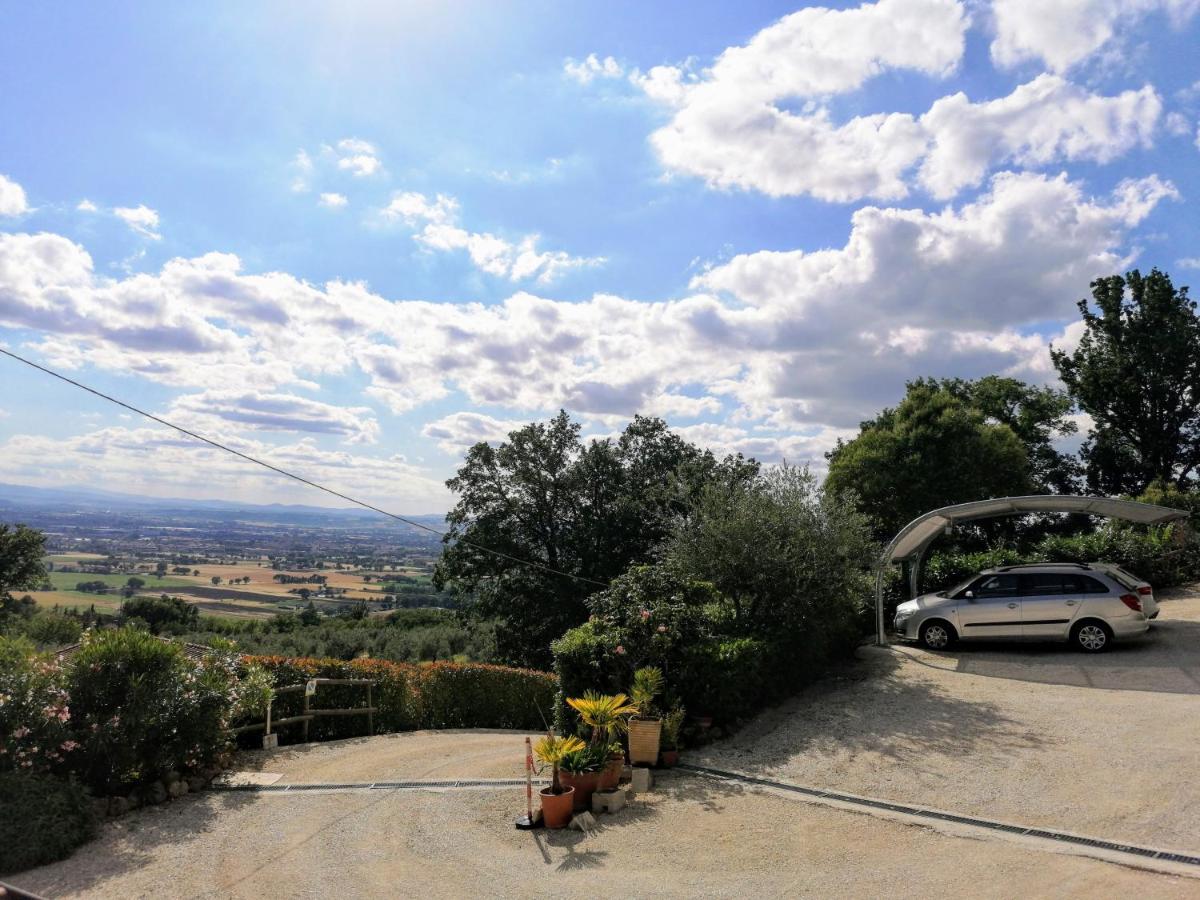 Camere da Anna Maria - B&B Assisi