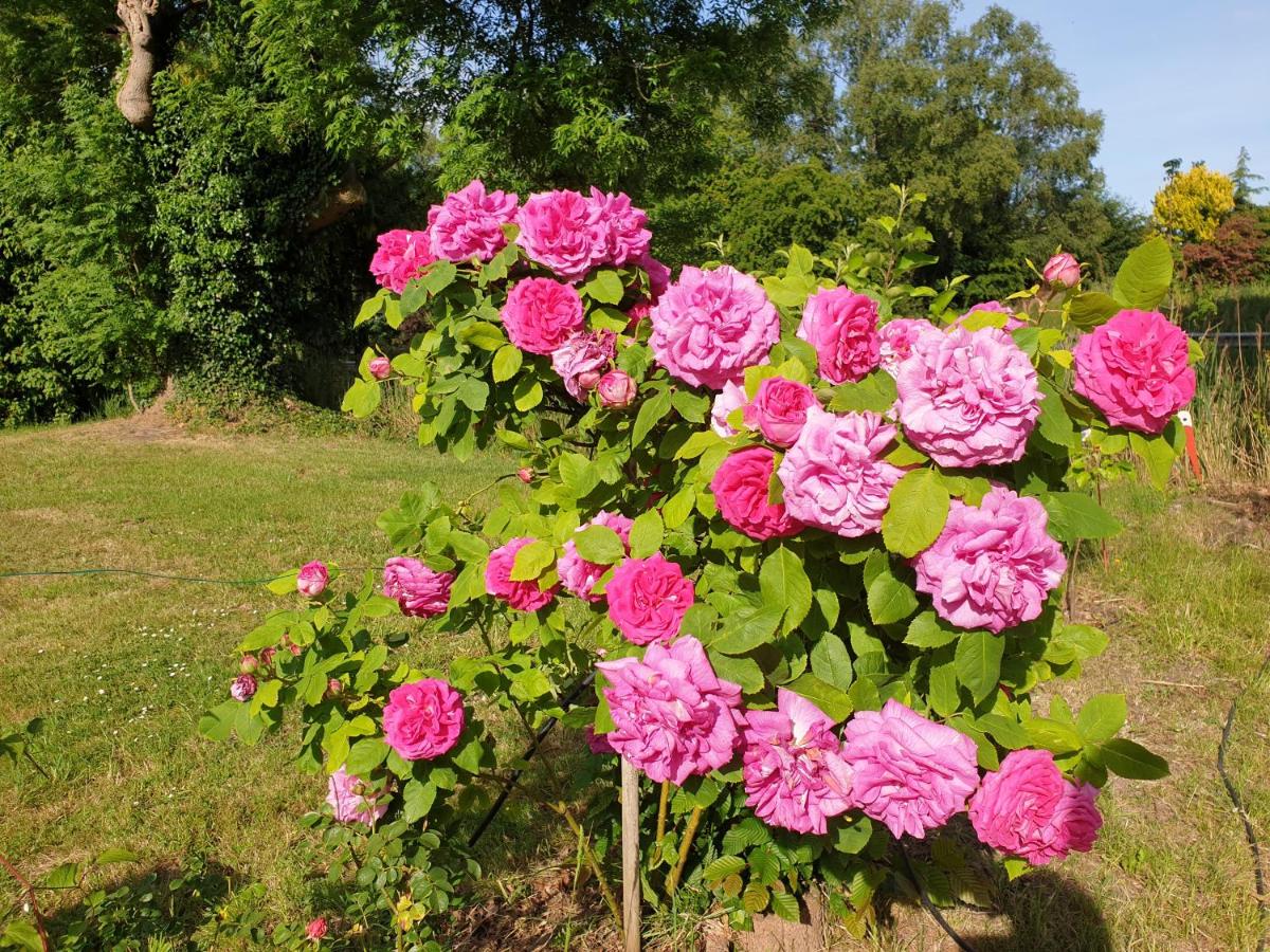 Johannes Hof - Ferienwohnung Bunde