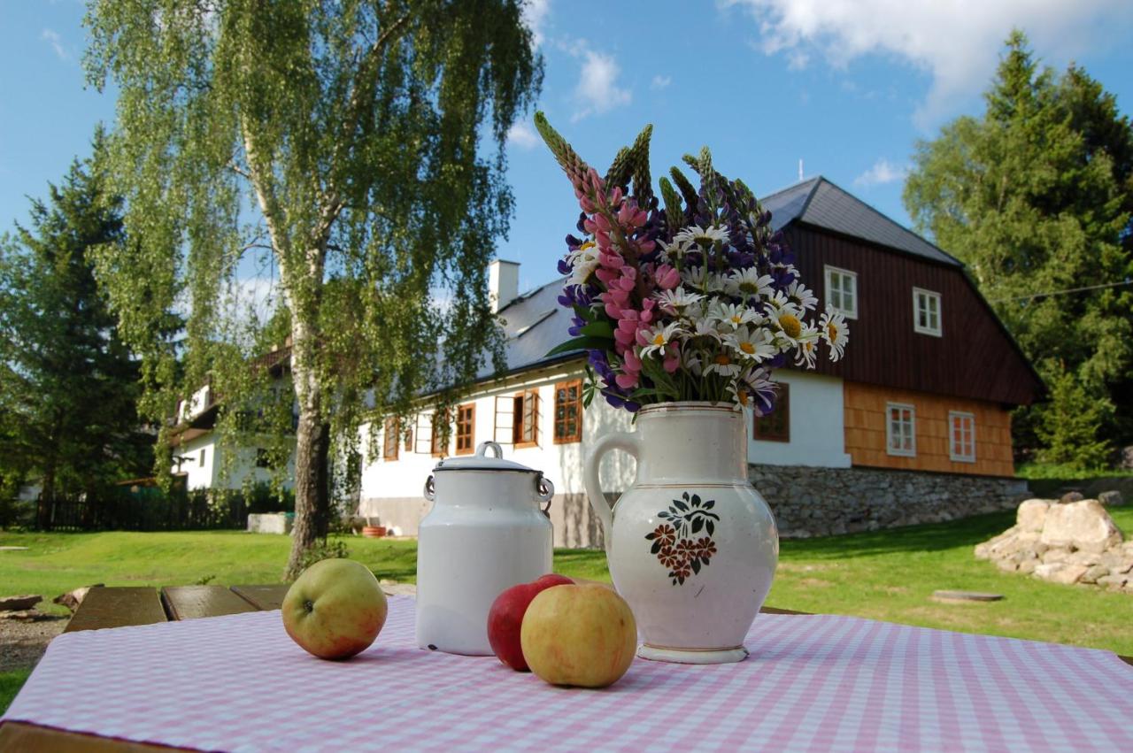 B&B Borová Lada - Chalupa Nový Svět na Šumavě - Bed and Breakfast Borová Lada