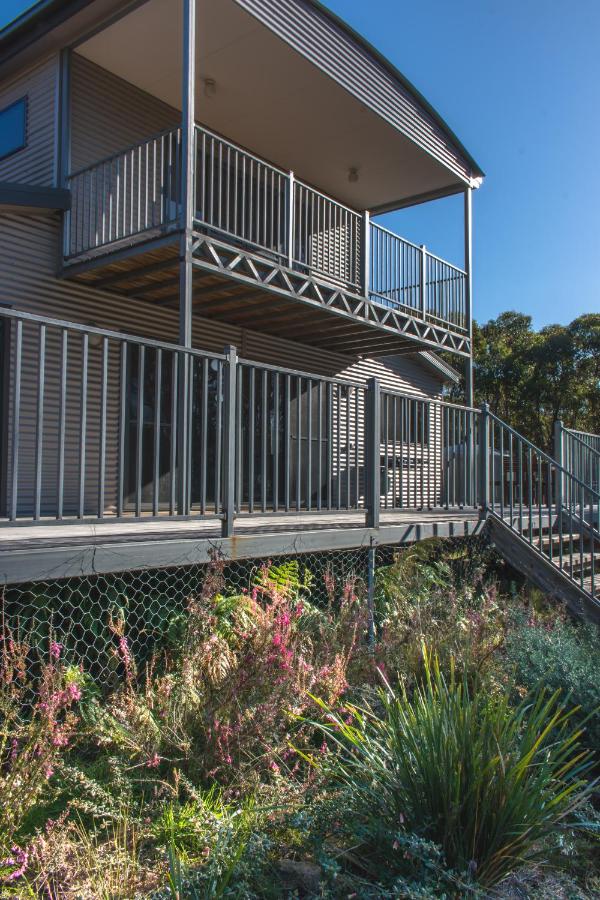 Echidna on Bruny - B&B Barnes Bay
