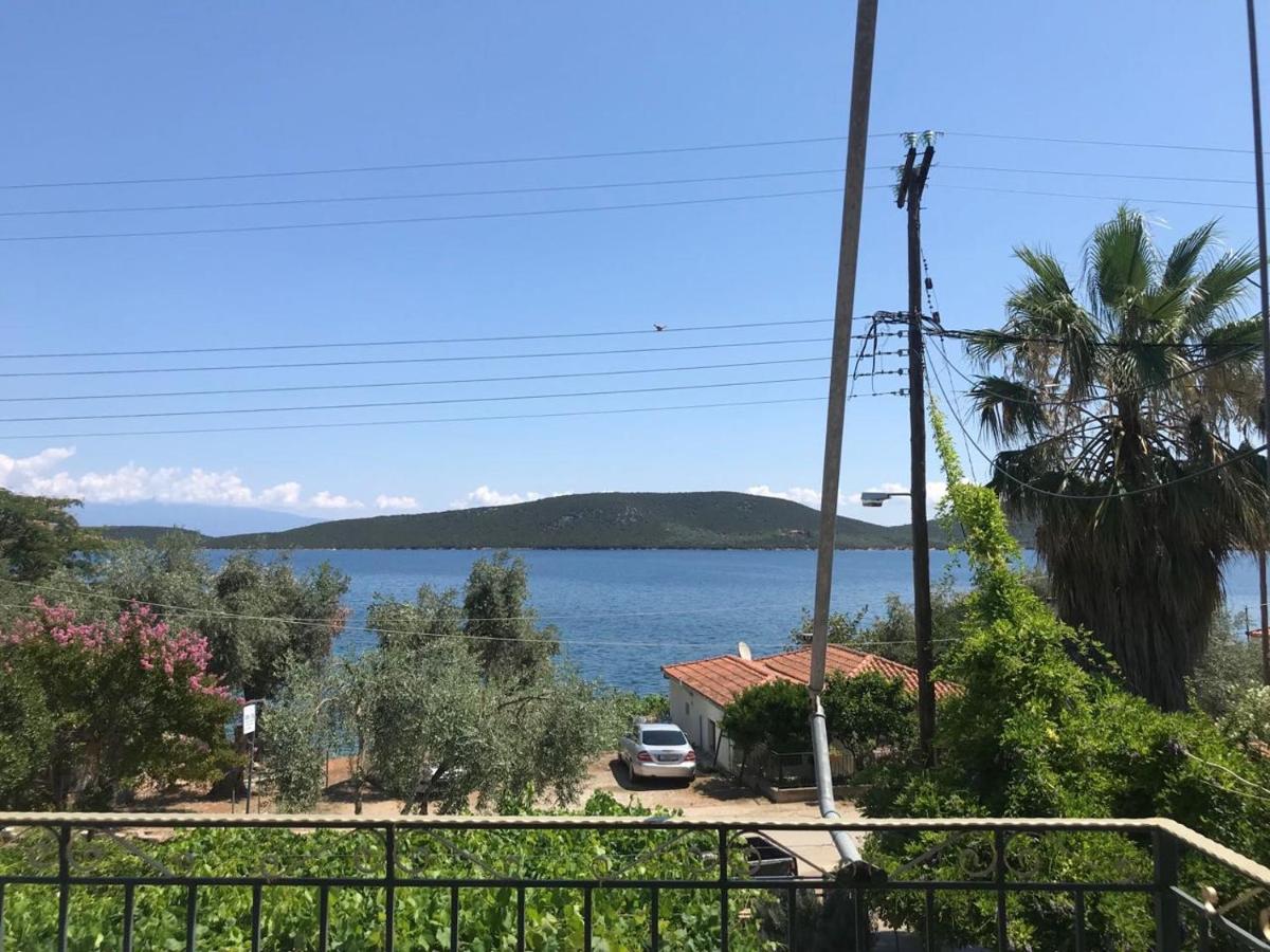 Ai Nies Studios - B&B