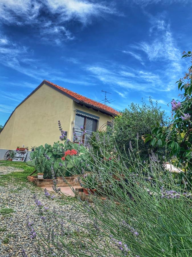 Ca' degli Ovi b&b - B&B