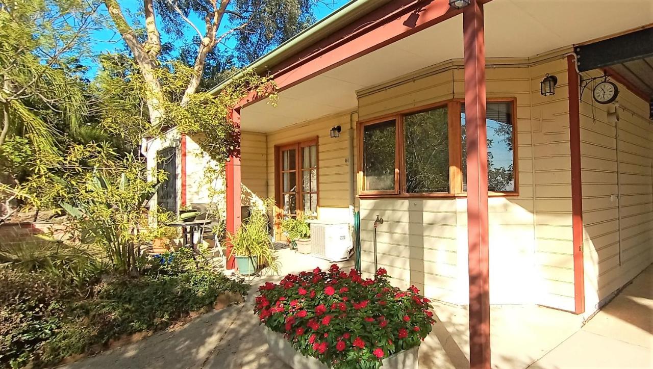 Treetops Hideaway Albury - B&B