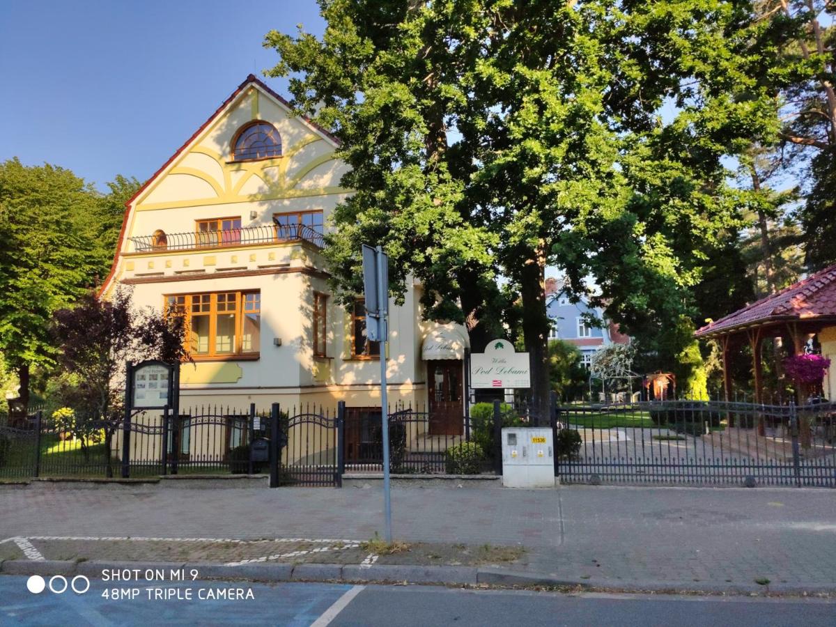 Willa Pod Dębami - B&B