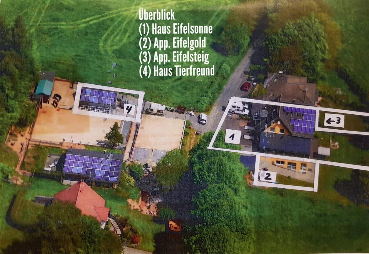 Appartement Eifelsteig - B&B Hollerath