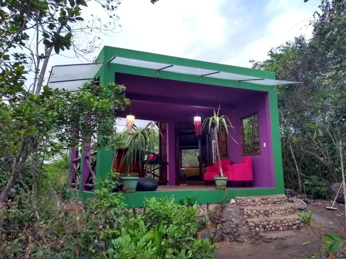 Jamiro House ,casa mirante, autossustentavel - Ferienwohnung Lençóis