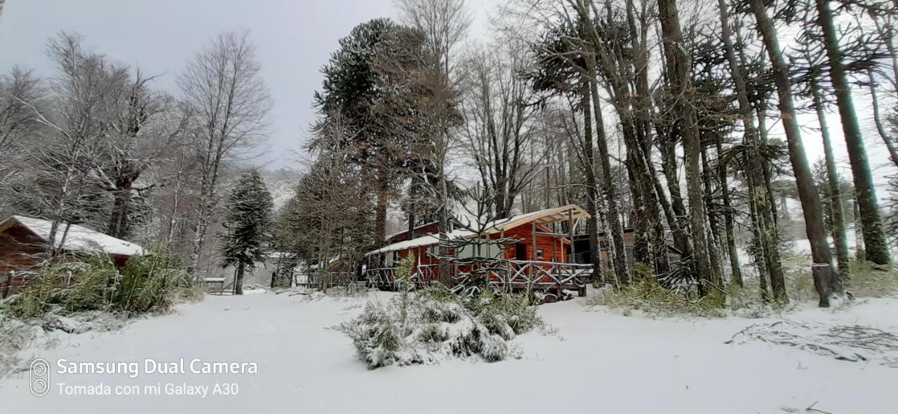 Cabañas Pukem - B&B Malalcahuello